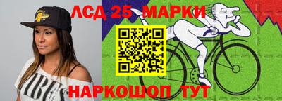 шишки Заволжье
