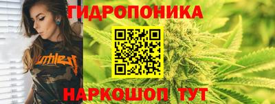 шишки Заволжье
