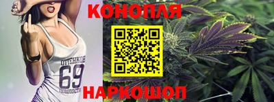 шишки Заволжье