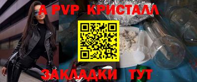 шишки Заволжье
