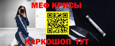 шишки Заволжье