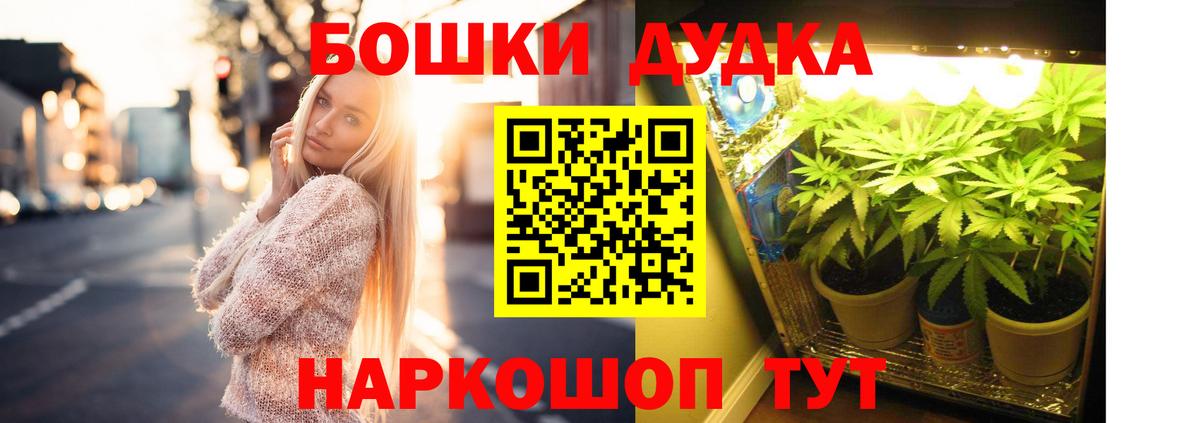 Канабис планчик Майский